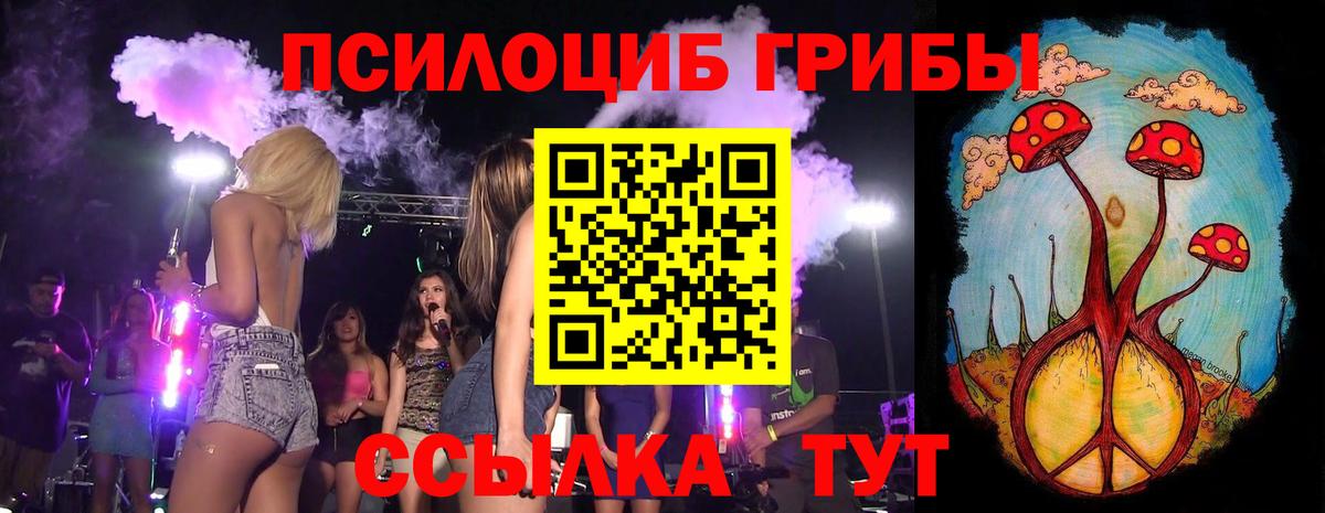 Галлюциногенные грибы Psilocybe  как найти   Лениногорск  Псилоцибиновые грибы прущие грибы  Вход с VPN 