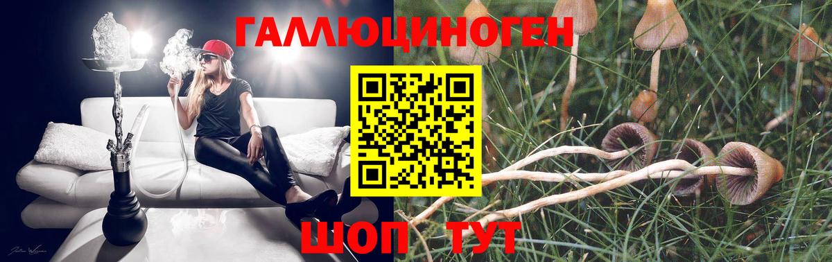Галлюциногенные грибы Magic Shrooms Лениногорск